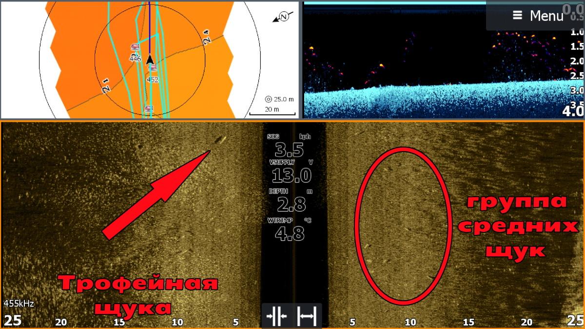 Щуки в боковых лучах эхолота Lowrance